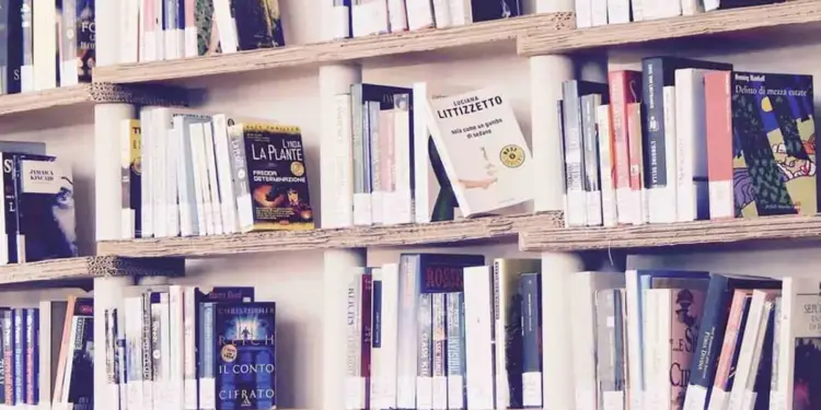 Apa itu Literasi? Contoh, Tujuan, Ciri-Ciri dan Manfaat 2023