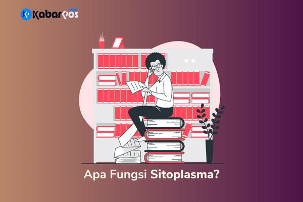 Apa Fungsi Sitoplasma? Beserta Penjelasan Strukturnya