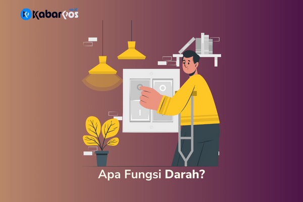Apa itu Kapasitor? Bagaimana Cara Kerja Kapasitor?