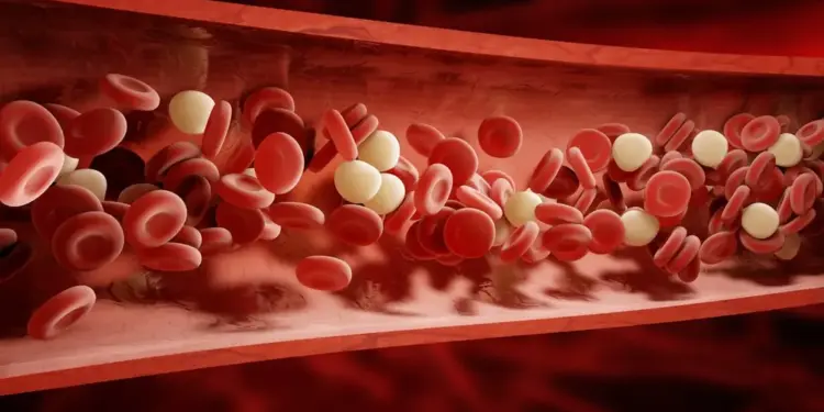Fungsi Plasma Darah: Peran dan Pentingnya dalam Tubuh