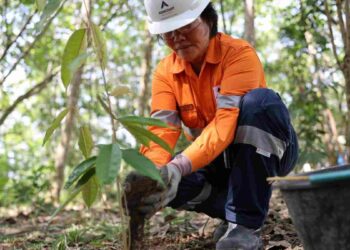 Restorasi Adalah: Memulihkan Alam untuk Masa Depan