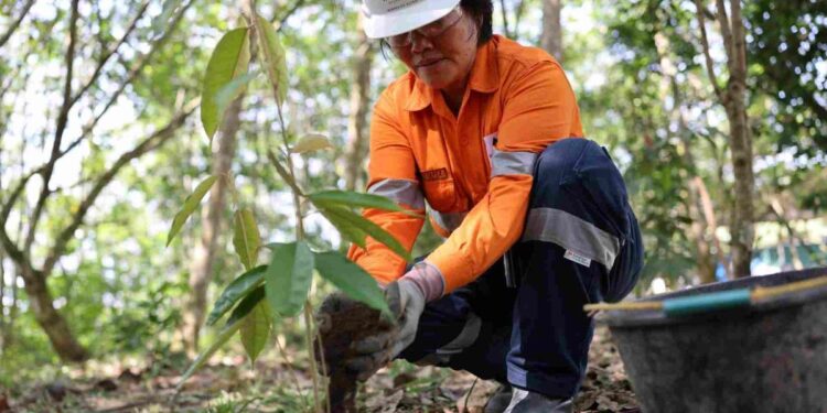 Restorasi Adalah: Memulihkan Alam untuk Masa Depan