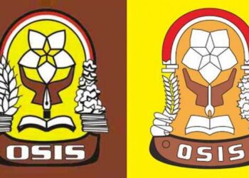 Apa itu OSIS? Peran dan Tanggung Jawab OSIS