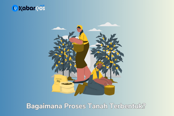 Inilah Pengertian Tanah yang Wajib Kalian Tahu!