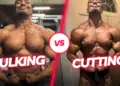 Apa Itu Cutting: Perbedaan Cutting dan Bulking