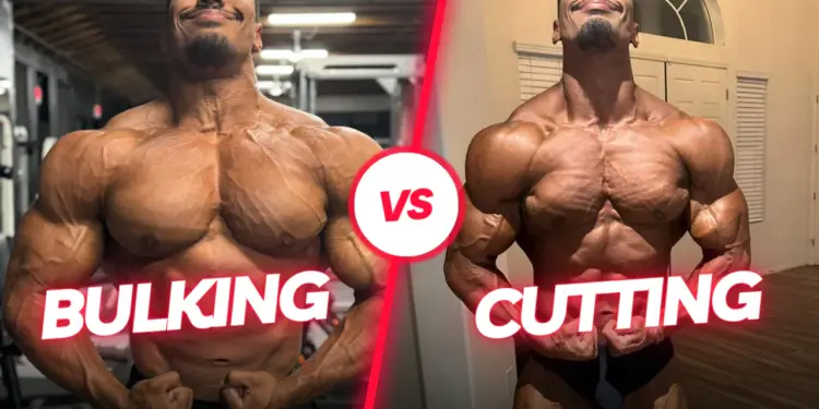 Apa Itu Cutting: Perbedaan Cutting dan Bulking