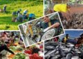 Pengertian Jasa: Jenis, dan Pentingnya dalam Masyarakat