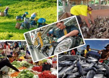 Pengertian Jasa: Jenis, dan Pentingnya dalam Masyarakat