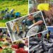 Pengertian Jasa: Jenis, dan Pentingnya dalam Masyarakat